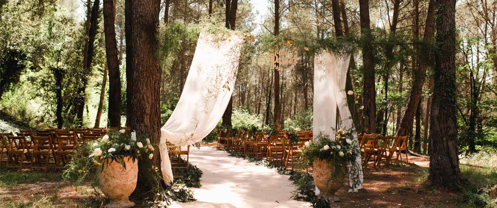 Ceremony in the Forest
